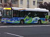 Buss STAB shuttle l'Océane.jpg