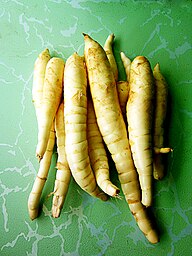 State Vegetable of Saint Vincent and the Grenadines