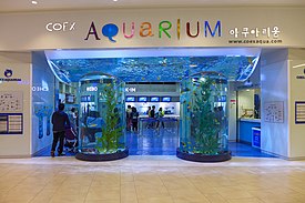 COEX Aqurium 2016.jpg