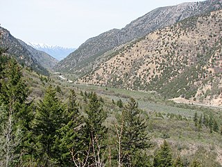 Cache National Forest National forest in the United States
