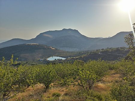 Campos de cerezos y Torres al fondo.jpg