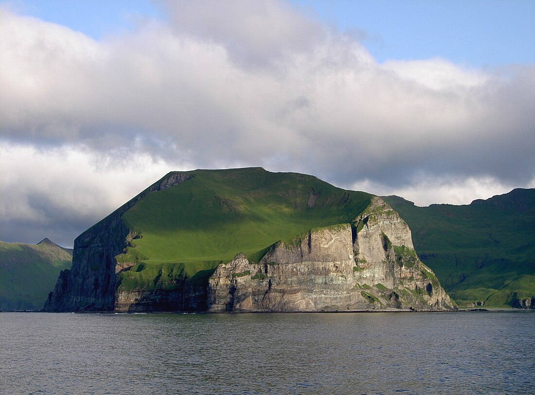 Toundra des îles Aléoutiennes