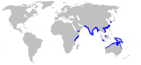 Phạm vi phân bố của cá nhám mõm dài[2]