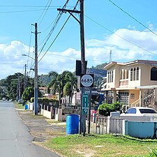 Heading north between Cordillera and Hato Viejo barrios in Ciales