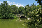 Central Park New York August 2012 007.jpg