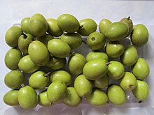 Elaeocarpus serratus (Veralu / Ceylon Olive) fruits