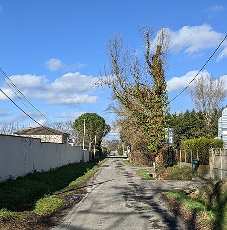 Chemin de Montredon (Toulouse)