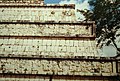 Chichen Itza Warriors' Temple (9783539746).jpg