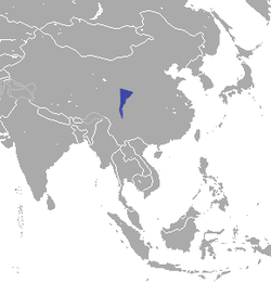 Chinese Shrew area.png