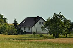 Ciconia ciconia nest Kosobudy2.jpg