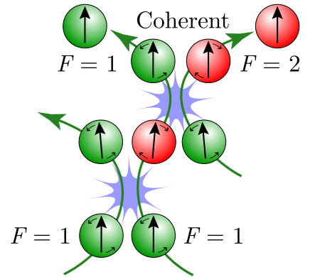 Alkali metal atoms in the spin-exchange relaxation-free (SERF) regime with hyperfine state indicated by color precessing in the presence of a magnetic field experience two spin-exchange collisions in rapid succession which preserves total angular momentum but changes the hyperfine state, causing the atoms to precess in opposite directions only slightly before a second spin-exchange collision returns the atoms to the original hyperfine state. Colliding Atoms SERF.svg