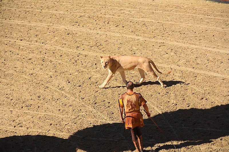 File:Colosseum - Roman Arena 74 - Lioness Avoiding Tamer 3.jpg