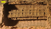 Molde interno do lume dun talo de crinoideo (e molde externo do talo) do Carbonífero inferior, Ohio