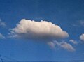 Cumulus mediocris cloud
