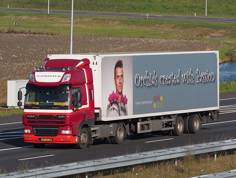 File:DAF CF, LC van Buytenen & Zn Bv, Stolk Flora.JPG