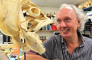 David Bellwood Australian marine biologist