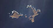 Davıdov adası üçün miniatür