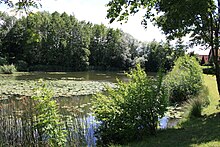 Der Dorfweiher von Schlier