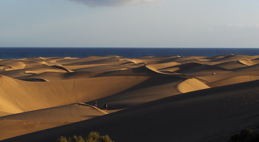 Maspalomas Dunes