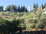 ein-karem.jpg