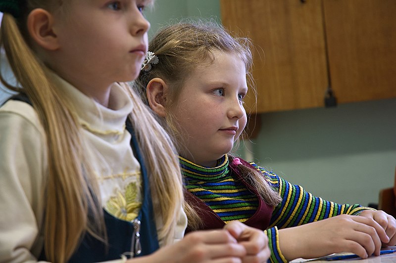 File:Elektrostal - grammar school. Gymnasium № 6, modeling lesson. img 011.jpg