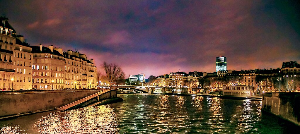 Entre deux iles la Seine, 3 février 2019