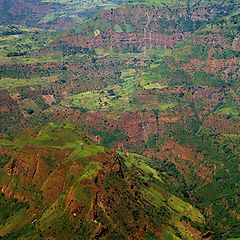 Восточное плоскогорье африки. Парк Энтото Эфиопия. Эфиопское Нагорье климат. Эфиопское Нагорье Африка.