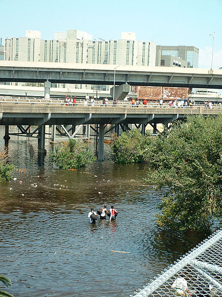 File:FEMA - 15509 - Photograph by Marty Bahamonde taken on 08-31-2005 in Louisiana.jpg