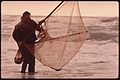 FISHING FOR SMELT ON GOLD BLUFF BEACH - NARA - 543033.jpg