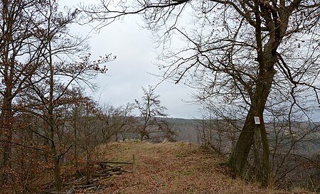 Falkenklippe 2016