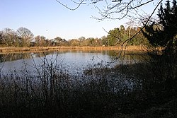 The basin pool to feed the cascades Feeder pond for water cascade - geograph.org.uk - 109332.jpg