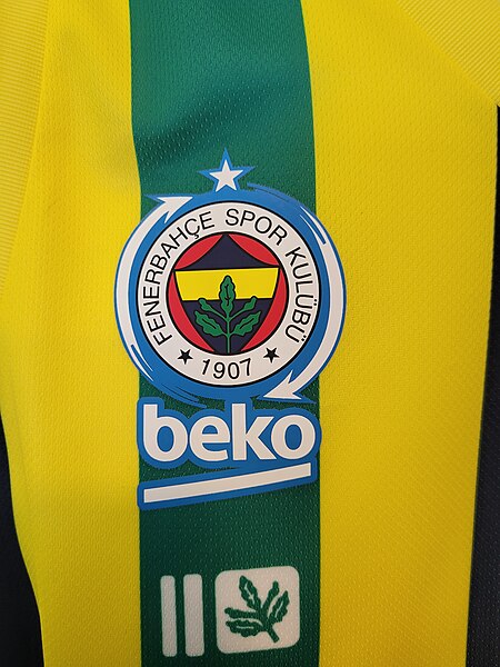 File:Fenerhbahçe Basketball green jersey 20220615 1.jpg