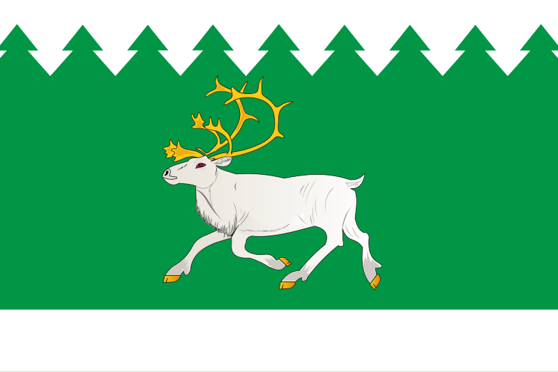 File:Flag of Izhemsky rayon (Komia).svg