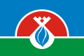 Flag of Nadymsky rayon (Yamalo-Nenetsky AO).svg