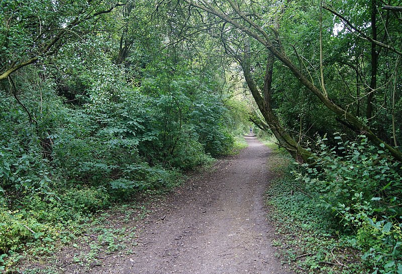 File:Footpath along a former railway - geograph.org.uk - 4364939.jpg