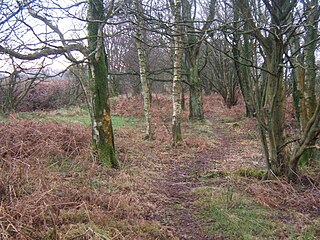 <span class="mw-page-title-main">Angerton, South Lakeland</span> Civil parish in England