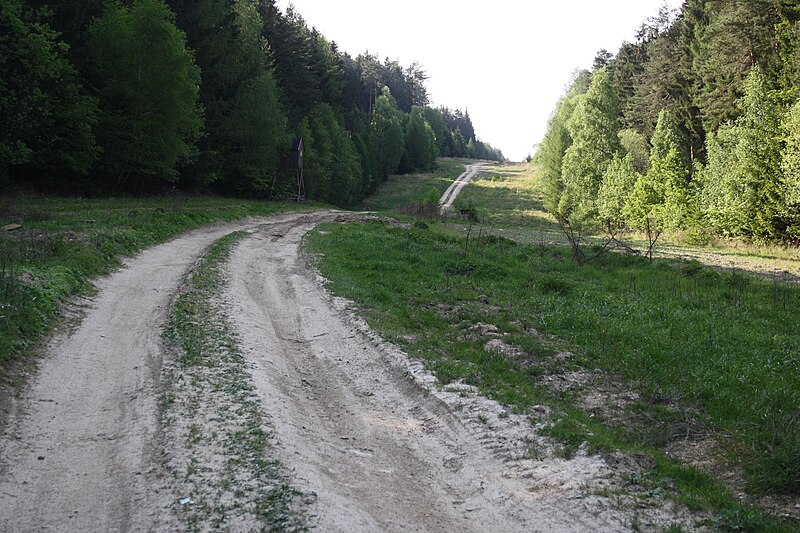 File:Forest path with underground petroleum pipeline Družba near Ludvíkov, Velká Bíteš, Žďár nad Sázavou District.jpg