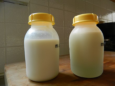 Formula and pumped breastmilk side by side. Note that the formula is of uniform consistency and color, while the expressed breast milk exhibits properties of an organic solution by separating into a layer of fat at the top (the "creamline"), followed by the milk, and then a watery blue-colored layer at the bottom.