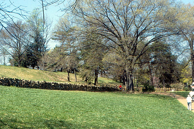 File:Fredericksburg - Battlefield with Sunken Road and Marye Heights.jpg