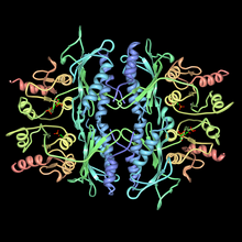 fruktoz-1,6-bifosfataz