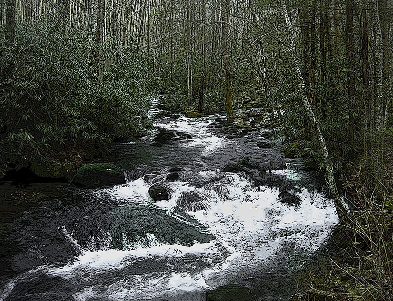 File:GSMNP Mountain stream - Flickr - wildrosetn39.jpg