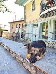 mount athos travel guide