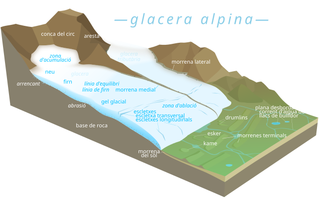 Esquema d'una glacera indicant els sectors amb neu, neu cingesta i glaç.