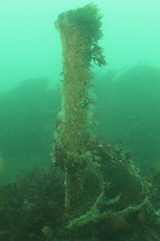 <i>Glen Strathallan</i> British ship scuttled in Plymouth sound as a dive site