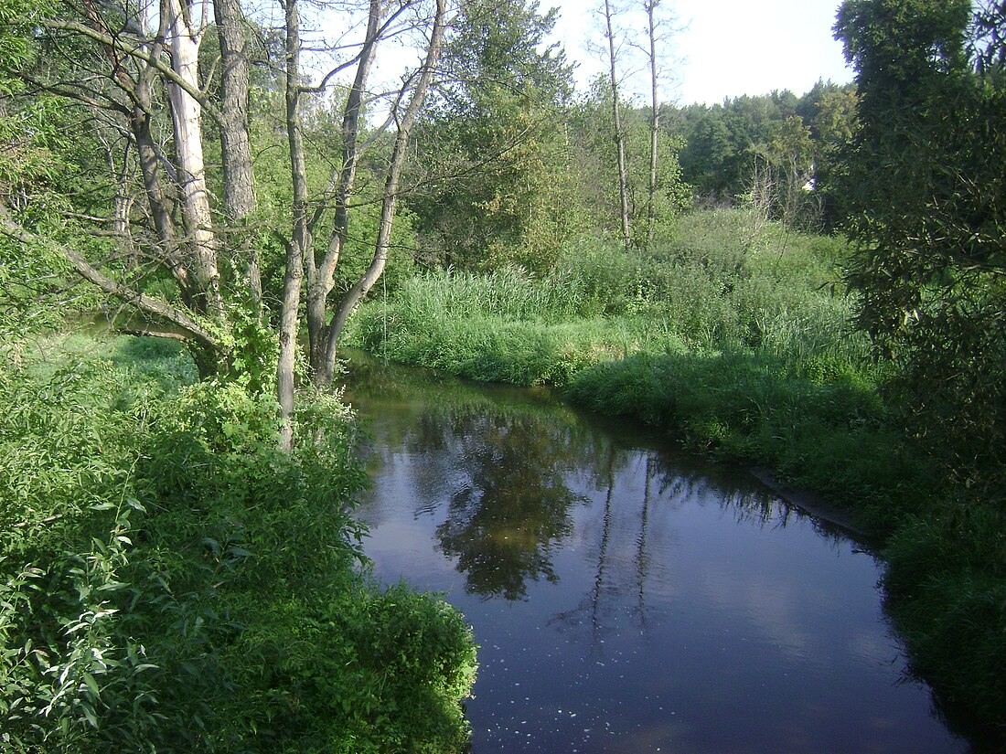 Jeziorka (river)