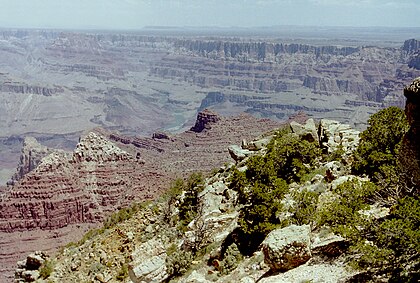 View due-north, from Lipan Point, East Rim:
Lava Butte, Temple Butte, Cardenas Basalt, Dox Formation, Palisades of the Desert - (on East Rim), etc. on Colorado River. Grand Canyon Lipan Point01.jpg