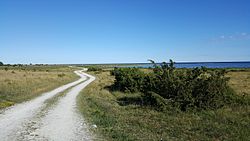 Närsholmen: Naturreservat i Gotlands län