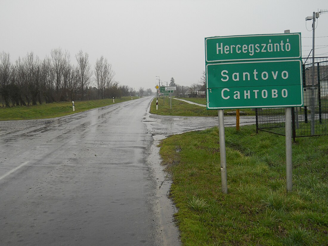 51-es főút (Magyarország)