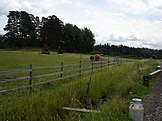 Rural landscape in Jokioinen