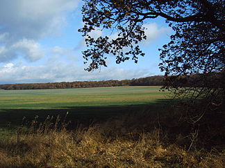 South-western edge of the hook